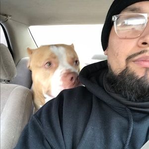 Meet your Posher, Hector